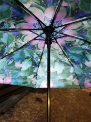 Rautatienomenapuu sateenvarjo